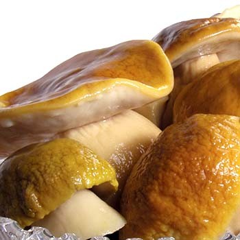 Comment conserver les cèpes à la maison