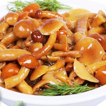 Champignons au miel sans stérilisation: recettes pour les préparations de champignons pour l'hiver