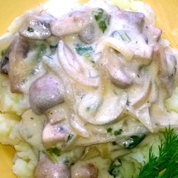 Comment faire cuire un demi-champignon de cèpes