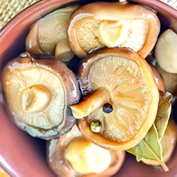 Recettes de champignons marinés d'hiver au vinaigre