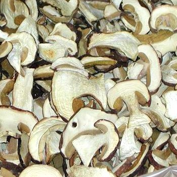 Comment sécher les cèpes à la maison