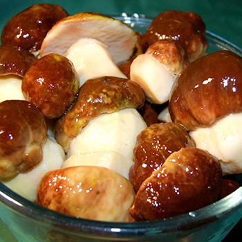 Comment conserver le lait après le salage à froid