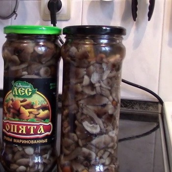 Méthodes pour décaper les champignons: recettes étape par étape avec des photos