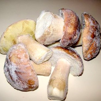 Recettes pour la fabrication de cèpes pour l'hiver en congelant