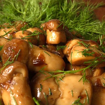 Méthodes de salage des champignons porcini pour l'hiver dans des bocaux à la maison