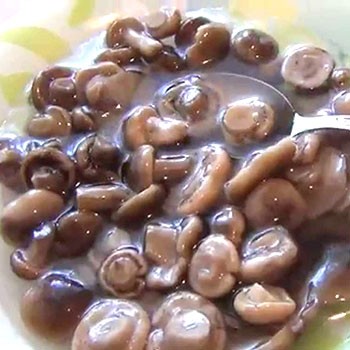 Façons de conserver les champignons au miel à la maison