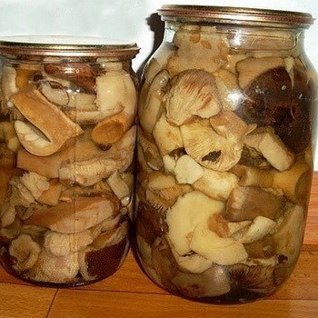 Comment faire cuire la russula pour l'hiver dans les banques: recettes simples