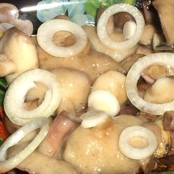 Salage chaud et froid pour l'hiver