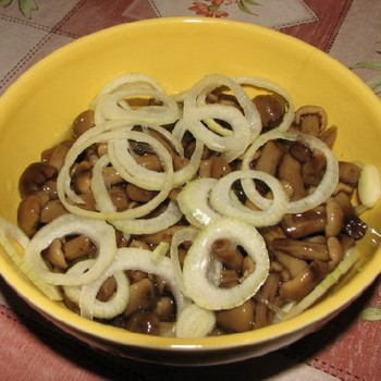Comment saler les champignons champignons: recettes maison