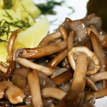 Recettes de champignons d'automne