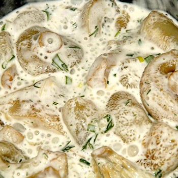 Champignons à la crème sure: recettes