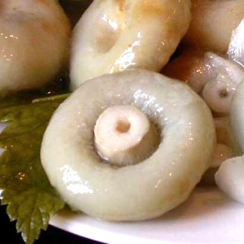 Comment décaper les champignons bouillis pour l'hiver