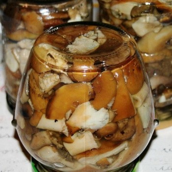 Pourquoi les rowans sont amers et comment débarrasser les champignons de l'amertume