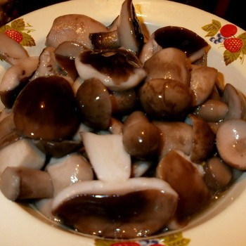 Comment saler l'aviron: recettes pour les préparatifs d'hiver