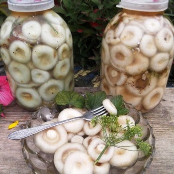 Recettes de marinage maison à la maison