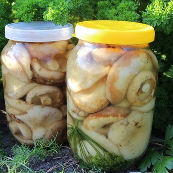 Salage chaud des vagues: recettes étape par étape avec photos