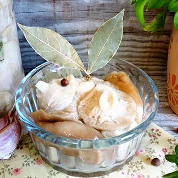 Salage à froid de craquelins: recettes étape par étape