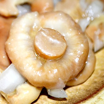 Comment cuisiner des sensations fortes pour l'hiver