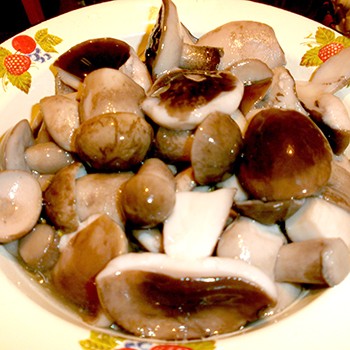 Champignons bolets marinés: recettes simples, étape par étape