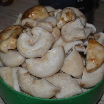 Comment faire cuire des champignons avant de les transformer?