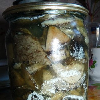 Poitrines salées moisies: que faire pour sauver les champignons