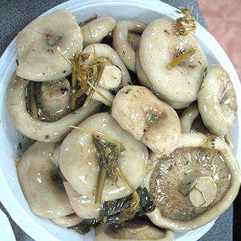 Champignons salés: comment remédier à la situation