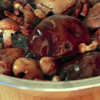 Comment mariner des champignons valui pour l'hiver