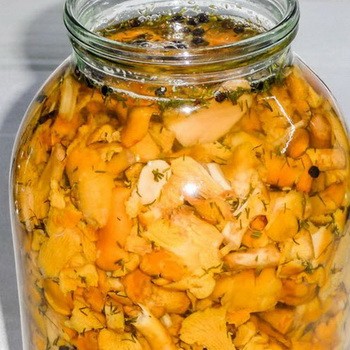 La cuisson des girolles pour l'hiver de différentes manières