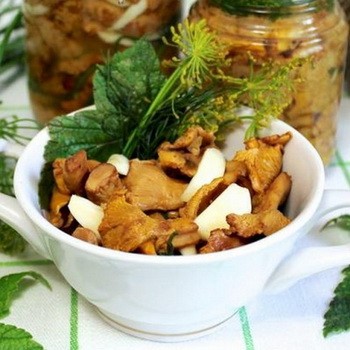Comment saler les girolles pour l'hiver: recettes de préparations