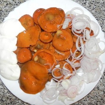 Champignons au safran marinés: recettes de collations aux champignons