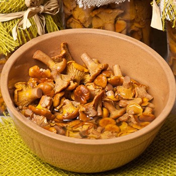 Les girolles marinées pour l'hiver: recettes maison