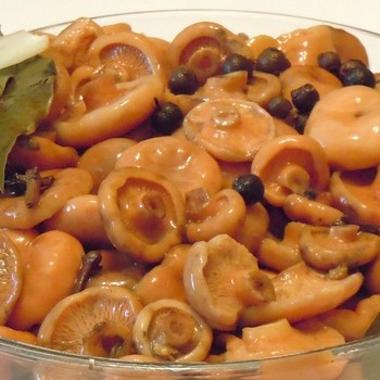 Comment saler les champignons sous la presse de façon chaude et froide