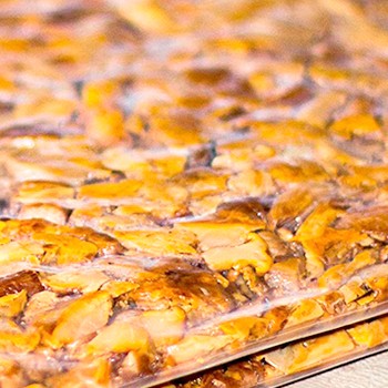 Comment conserver les champignons safran au congélateur