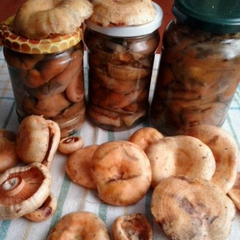 Pourquoi les couvercles des boîtes de conserve au safran ont-ils gonflé et que dois-je faire?