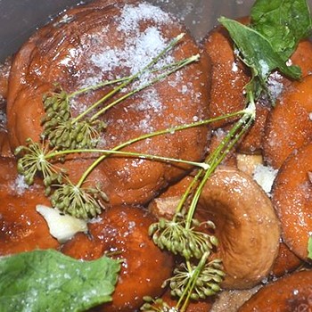 Comment saler et mariner les champignons sans vinaigre