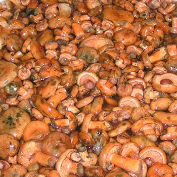 Comment nettoyer les champignons frais avant la cuisson