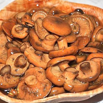 Rousses avec de l'acide citrique: recettes de marinage et de salage