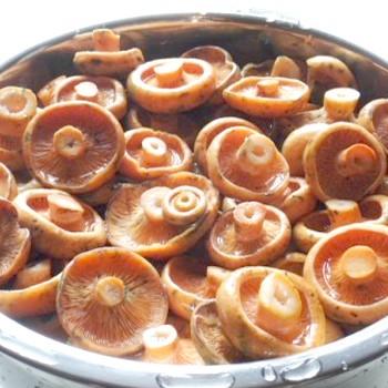 Gingembre cuit pour l'hiver: recettes étape par étape