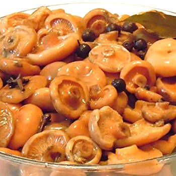 Options de stockage pour les champignons safran salés à la maison