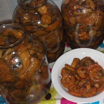 Pourquoi des capsules de lait au safran et comment remédier à la situation