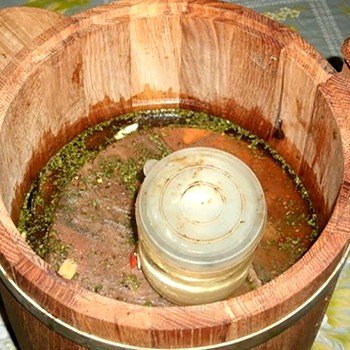 Rousses sous oppression: recettes de salage de champignons maison