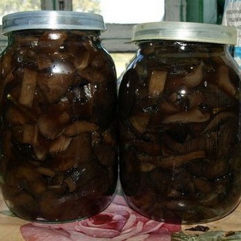 Porcs pour l'hiver: congélation et conservation