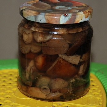 Saler les truies de différentes manières