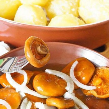 Champignons salés: comment remédier à la situation