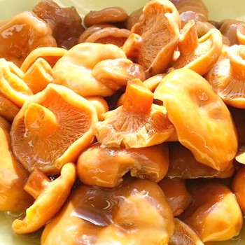 Recettes simples de safran salé froid