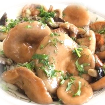 Préparer la marinade pour les champignons safran de différentes manières