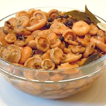 Comment faire cuire rapidement les champignons pour l'hiver à la maison