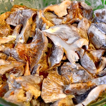 Viande aux champignons safranés: recettes de plats copieux