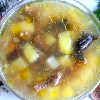 Champignons champignons: recettes de premier cours