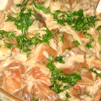 Ragoût de champignons: de délicieuses recettes